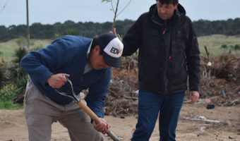 Plan de reforestacin y forestacin